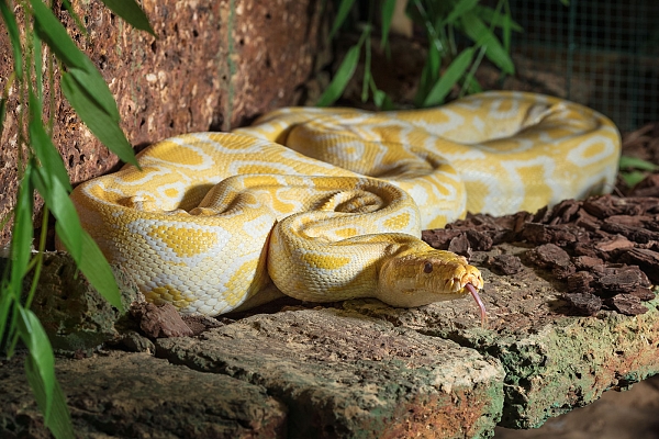 HOTEL WELLNESS BABYLON